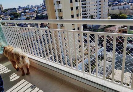 Redes de proteção em São Bernardo