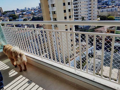 Redes de proteção em São Bernardo